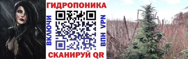 купить  сайты  гидра   Конопля тримм  Бежецк 